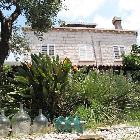 Guest House Maria Bilicic دوبروفينك المظهر الخارجي الصورة