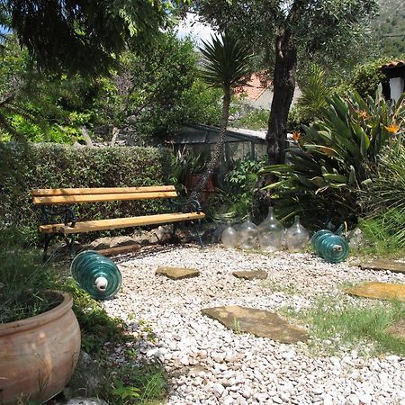 Guest House Maria Bilicic دوبروفينك المظهر الخارجي الصورة