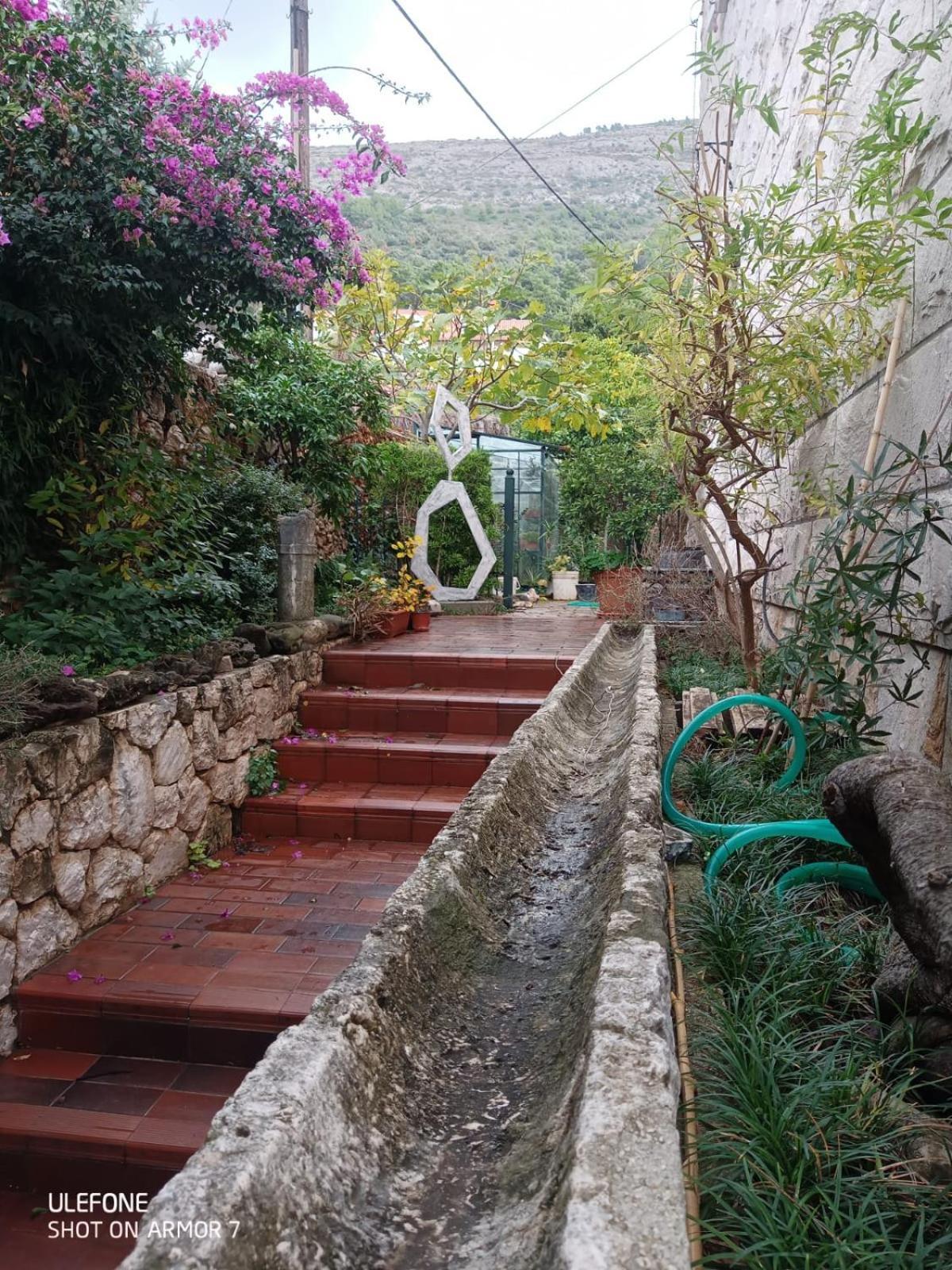 Guest House Maria Bilicic دوبروفينك المظهر الخارجي الصورة